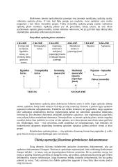 Buhalterinės apskaitos pagrindai 7 puslapis