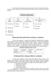 Buhalterinės apskaitos pagrindai 8 puslapis