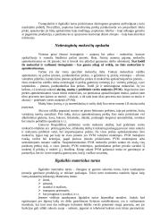 Buhalterinės apskaitos pagrindai 9 puslapis