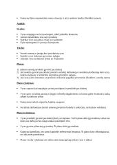 Socialinio darbo problemos analizė 2 puslapis