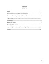 Buhalterinės apskaita bei jos reglamentavimas 2 puslapis