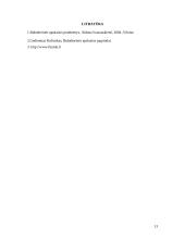 Buhalterinės apskaita bei jos reglamentavimas 13 puslapis