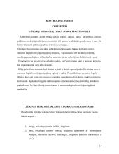 Buhalterinės apskaita bei jos reglamentavimas 14 puslapis