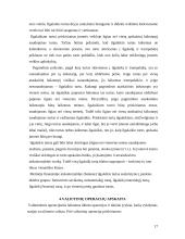Buhalterinės apskaita bei jos reglamentavimas 17 puslapis
