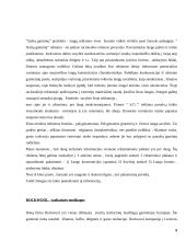 Reklama: žurnalas "Statyba ir architektūra" 4 puslapis