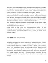 Reklama: žurnalas "Statyba ir architektūra" 6 puslapis