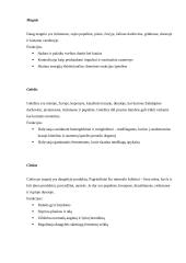 Citrusiniai vaisiai 12 puslapis