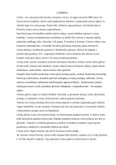 Citrusiniai vaisiai 4 puslapis