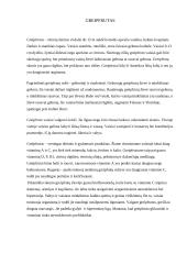 Citrusiniai vaisiai 6 puslapis