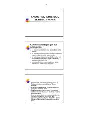 Civilinės atsakomybės rūšys. Kasmetinės atostogos, jų skyrimo tvarka 11 puslapis