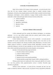 Civilinės atsakomybės rūšys. Kasmetinės atostogos, jų skyrimo tvarka 4 puslapis