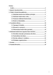 Dalykinis bendravimas organizacijoje: duonos ir pyrago gaminiai UAB "Lietuviška duona" 2 puslapis