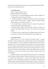 Dalykinis bendravimas organizacijoje: duonos ir pyrago gaminiai UAB "Lietuviška duona" 11 puslapis