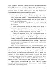 Dalykinis bendravimas organizacijoje: duonos ir pyrago gaminiai UAB "Lietuviška duona" 12 puslapis