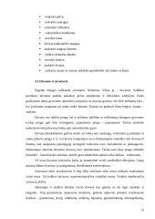 Dalykinis bendravimas organizacijoje: duonos ir pyrago gaminiai UAB "Lietuviška duona" 14 puslapis