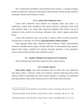 Darbo apmokėjimo organizavimo principai, teisinis reglamentavimas 5 puslapis