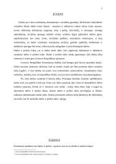 Darbo ir poilsio laiko teisinis reguliavimas 3 puslapis