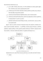 Apskaitos informacijos rengimas ir jos panaudojimas paslaugų rinkai gerinti UAB "Solisun baltic" 13 puslapis