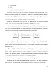 Apskaitos informacijos rengimas ir jos panaudojimas paslaugų rinkai gerinti UAB "Solisun baltic" 14 puslapis