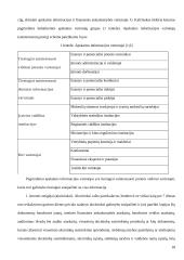 Apskaitos informacijos rengimas ir jos panaudojimas paslaugų rinkai gerinti UAB "Solisun baltic" 17 puslapis