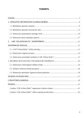 Apskaitos informacijos rengimas ir jos panaudojimas paslaugų rinkai gerinti UAB "Solisun baltic" 3 puslapis