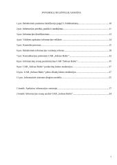 Apskaitos informacijos rengimas ir jos panaudojimas paslaugų rinkai gerinti UAB "Solisun baltic" 6 puslapis