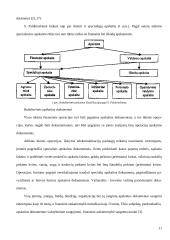 Apskaitos informacijos rengimas ir jos panaudojimas paslaugų rinkai gerinti UAB "Solisun baltic" 10 puslapis