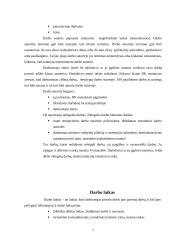 Darbo stažas, sutartis, laikas ir užmokestis 7 puslapis