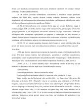 Pagrindiniai darbo užmokesčio organizavimo principai, modeliai 13 puslapis