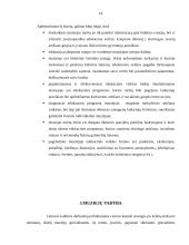 Edukacinės veiklos vadybiniai aspektai Lietuvos krašto muziejuose 13 puslapis
