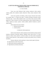 Edukacinės veiklos vadybiniai aspektai Lietuvos krašto muziejuose 17 puslapis