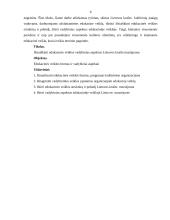 Edukacinės veiklos vadybiniai aspektai Lietuvos krašto muziejuose 5 puslapis