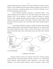 Edukacinės veiklos vadybiniai aspektai Lietuvos krašto muziejuose 9 puslapis