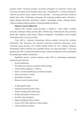 Darnaus vystymosi istorija Baltijos regione 16 puslapis