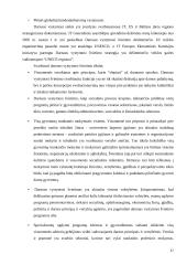 Darnaus vystymosi istorija Baltijos regione 17 puslapis