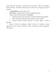 Darnaus vystymosi istorija Baltijos regione 4 puslapis