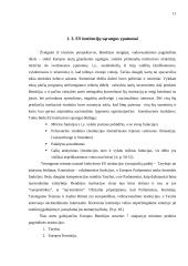 Europos Sąjungos (ES) institucijos: išsidėstymas, kompetencija, reikšmė ir aktualumas ir valdymo būdas 11 puslapis
