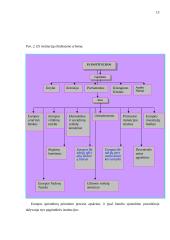 Europos Sąjungos (ES) institucijos: išsidėstymas, kompetencija, reikšmė ir aktualumas ir valdymo būdas 13 puslapis