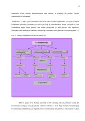 Europos Sąjungos (ES) institucijos: išsidėstymas, kompetencija, reikšmė ir aktualumas ir valdymo būdas 15 puslapis
