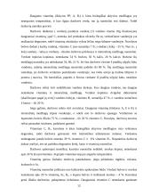 Daržovių maistinė vertė 12 puslapis