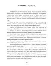 Daržovių maistinė vertė 14 puslapis