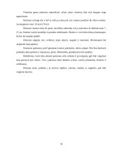 Daržovių maistinė vertė 18 puslapis
