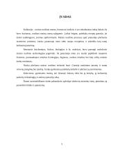 Daržovių maistinė vertė 3 puslapis