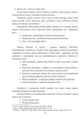 Europos Sąjungos (ES) paslaugų direktyva 12 puslapis