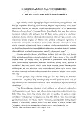 Europos Sąjungos (ES) paslaugų direktyva 17 puslapis