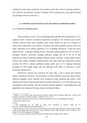 Europos Sąjungos (ES) paslaugų direktyva 20 puslapis