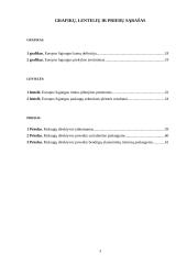 Europos Sąjungos (ES) paslaugų direktyva 3 puslapis