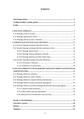 Europos Sąjungos (ES) paslaugų direktyva 4 puslapis