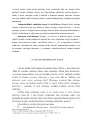 Europos Sąjungos (ES) paslaugų direktyva 9 puslapis