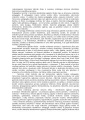 Demokratinio ugdymo samprata 4 puslapis